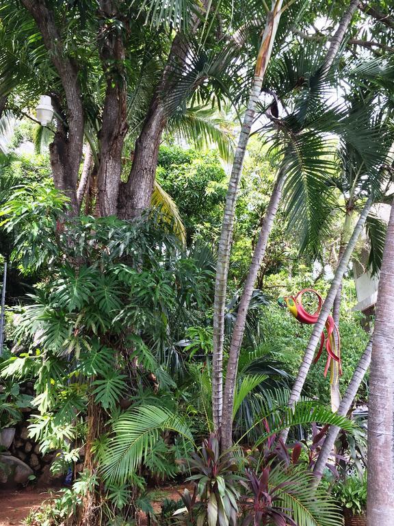 Villa Costa Chica Comodisimo Piscina Gigante Jardines Акапулько Экстерьер фото